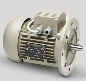 الکتروموتور تک فاز 0.55 کیلووات 1500 دور الکتروژن رله ای (3/4HP)